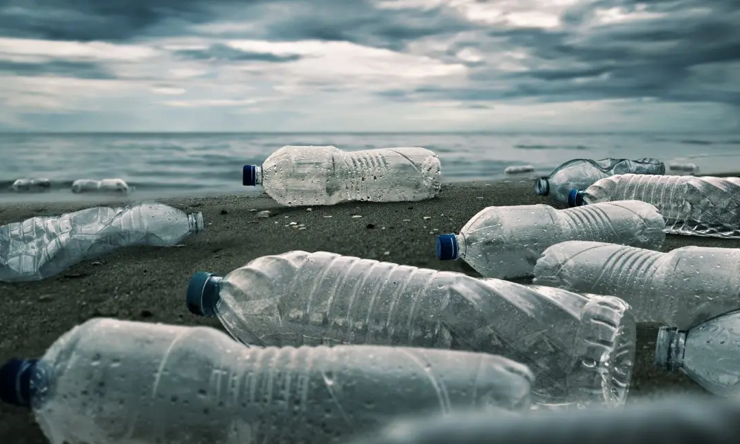 Plastikmüll zerstört Natur